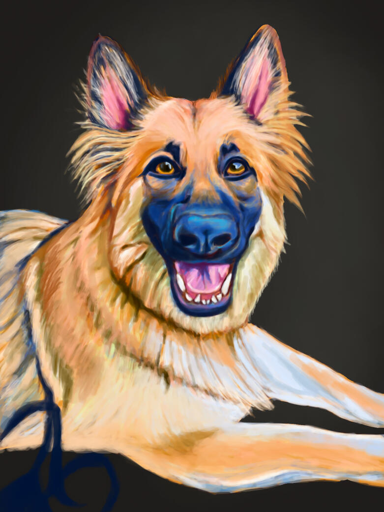 Dog